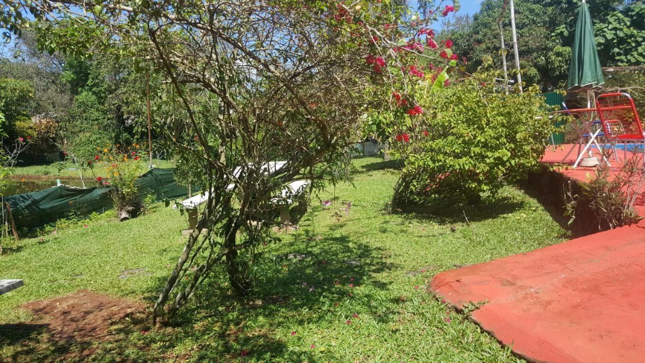 Hotel Y Residencial Amigos 伊瓜苏港 外观 照片